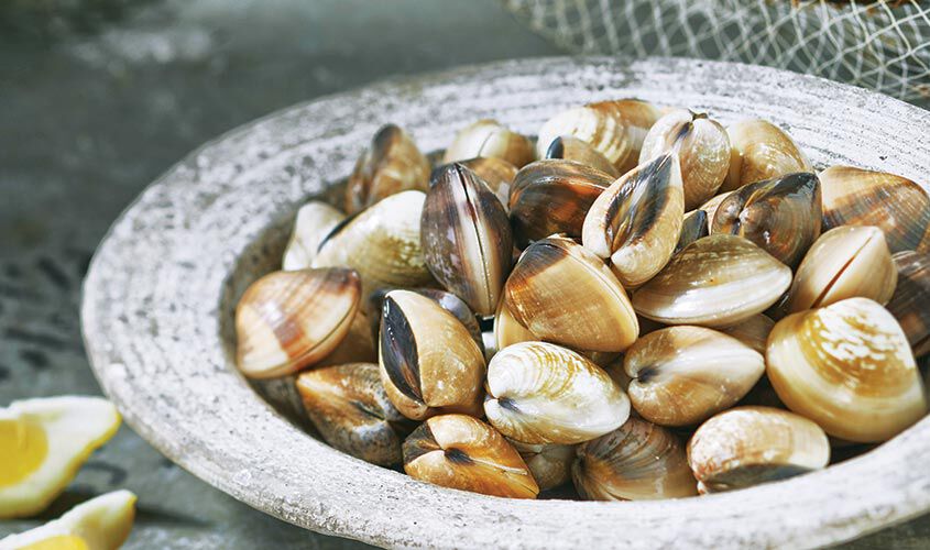 Friuts de mer - Vongole del Pacifico